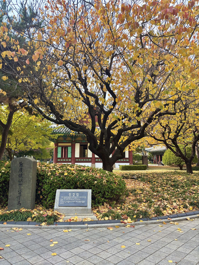 사계절 다 다른 매력을 가지고 있는 대구 대표 공원🌳