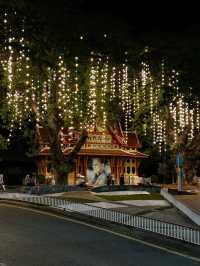 Hua Hin’s Glowing trees