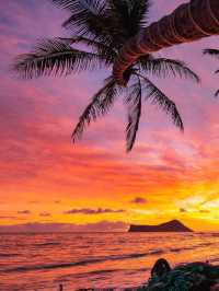 Rise and Shine: Top 3 Sunrise Spots in Hawaii (Your Alarm Clock Will Be Jealous)