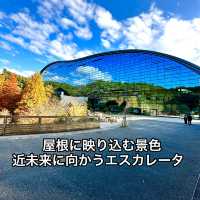 曲線の屋根に映り込む景色  近未来に進むようなエスカレーター
