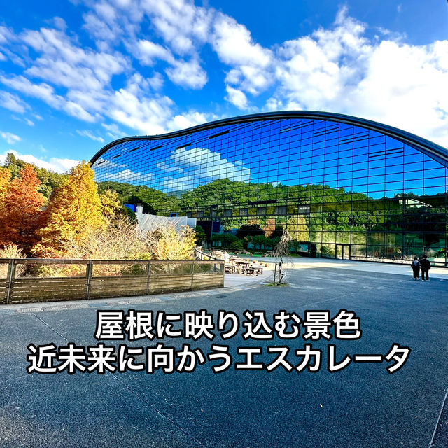 曲線の屋根に映り込む景色  近未来に進むようなエスカレーター