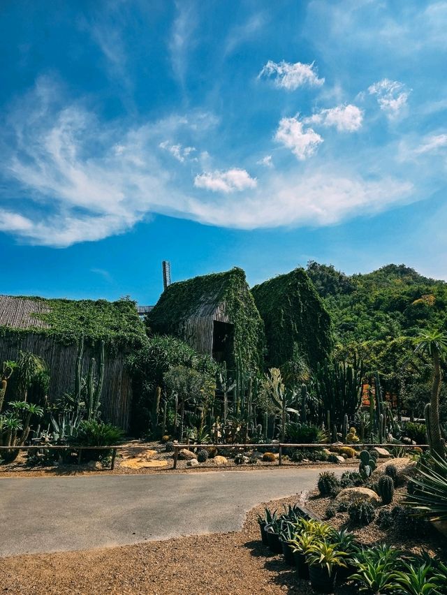 CHAN nature cafe' 