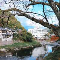 Hida-Furukawa