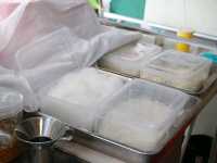 ก๋วยเตี๋ยวไก่ตุ๋นมะระ บุฟเฟ่ต์ 79 บาท