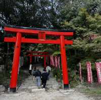 Slow life in Yanagawa and old town charm in Dazaifu