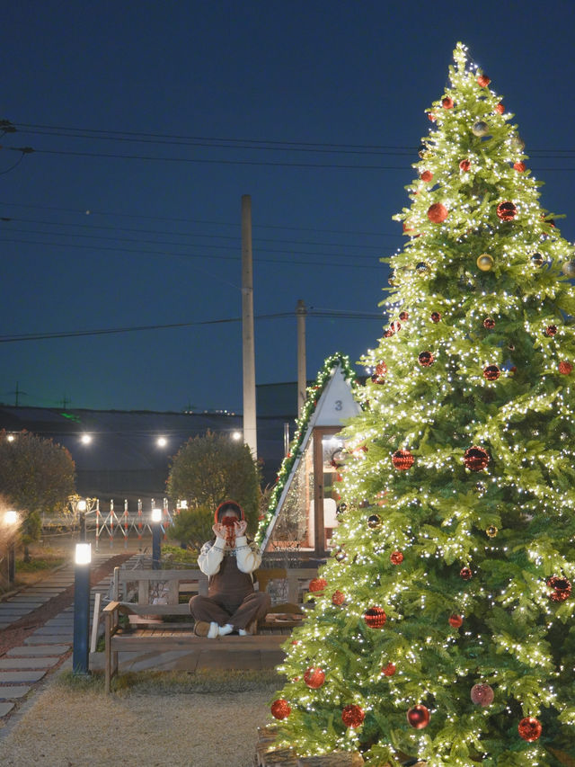 (실시간) 청주 카페 토성마을에 찾아온 크리스마스🎄❤️