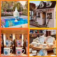 Discover Serenity at Provence Village