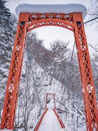 【冬の定山渓】雪の絶景と温泉を堪能
