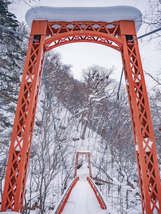 【冬の定山渓】雪の絶景と温泉を堪能