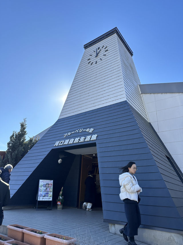 🇯🇵河口湖大石公園 🏔️睇住富士山嘆美食🍦