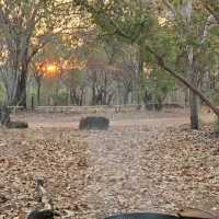 Kakadu National Park, Northern Territory