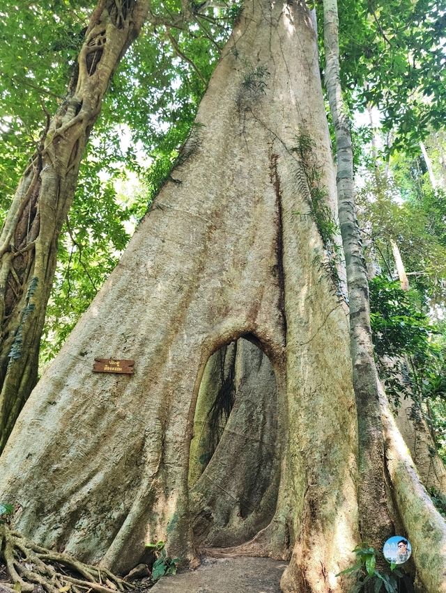 “วัดเขาบรรจบ”