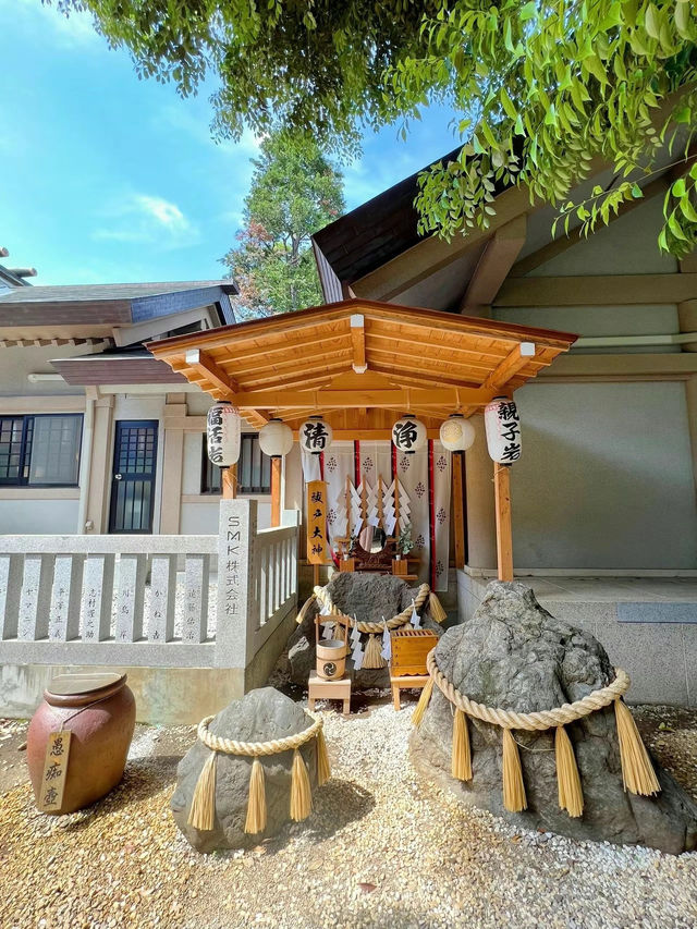 【東京】2025年初詣に行ってほしい!!最強神社はココ!!