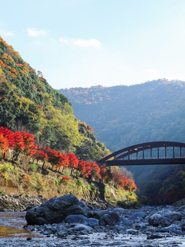 京都嵐山一日遊⛰️意想不到的美景就在這裡