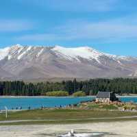 Lake Tekapo Magic: A Serene Day Surrounded by Lavender and Turquoise Waters!