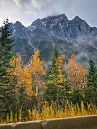 Revelstoke