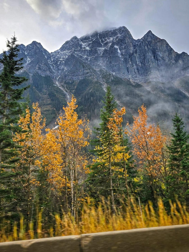 Revelstoke