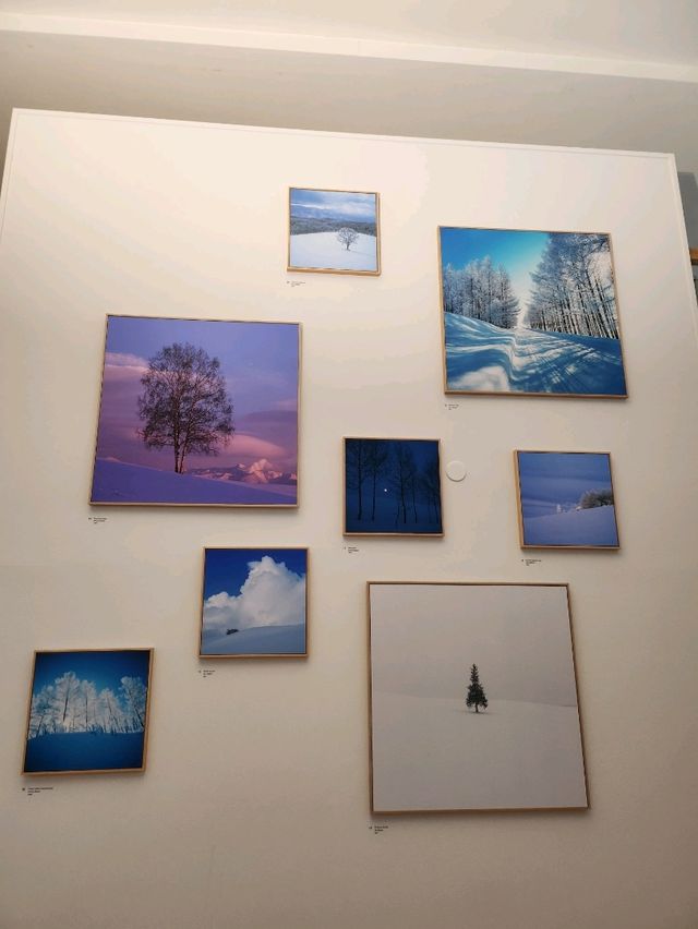 삿포로의 멋진사진을 볼 수 있는 탁신관 갤러리❄️