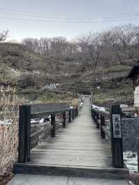【栃木】温泉好きなら絶対に行ってほしい‎🤍1300年の歴史の元湯