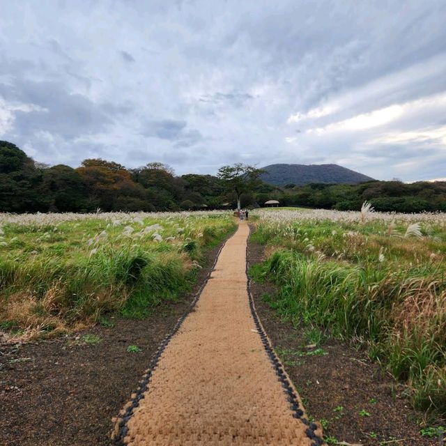 Jeju Stone Park