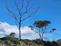 Freycinet National Park
