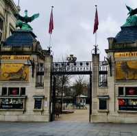Antwerp Zoo: A Historical Wildlife Experience