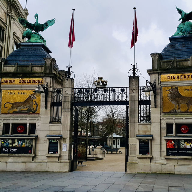 Antwerp Zoo: A Historical Wildlife Experience