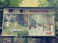 體驗愛與平靜的力量：野宮神社之旅 🌿✨