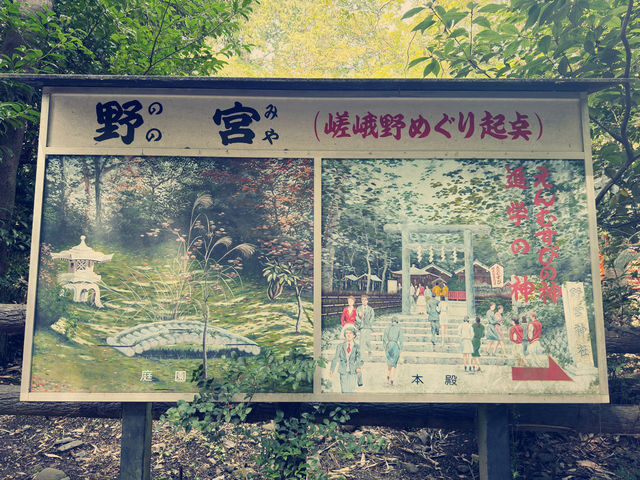 體驗愛與平靜的力量：野宮神社之旅 🌿✨
