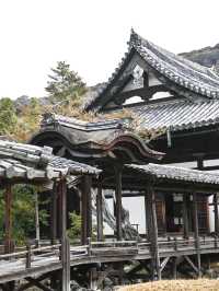 【京都/高台寺】竹林の穴場スポット！！