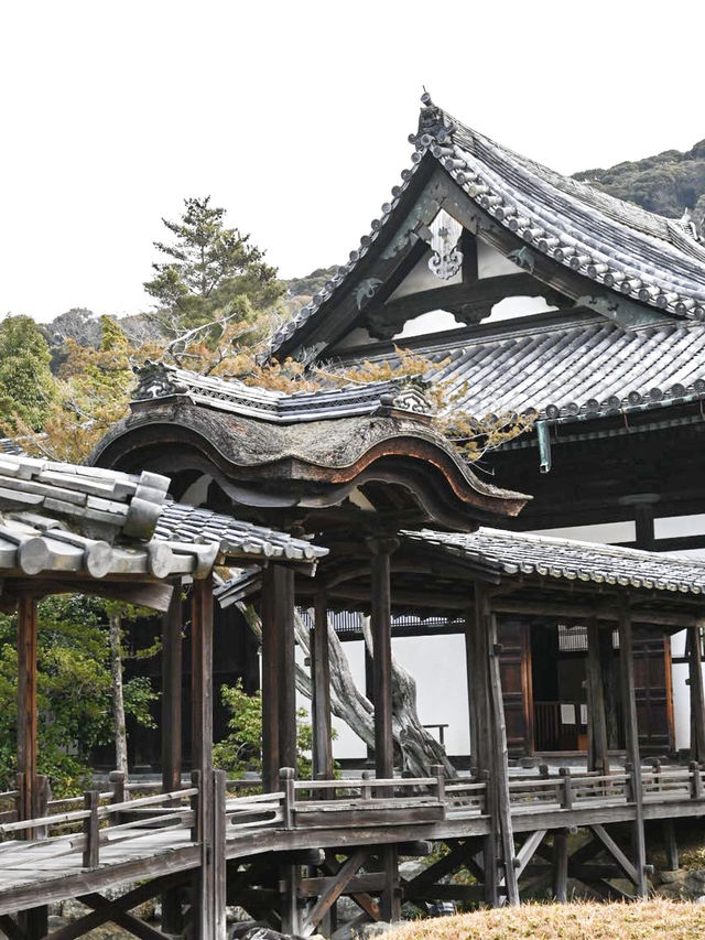 【京都/高台寺】竹林の穴場スポット！！