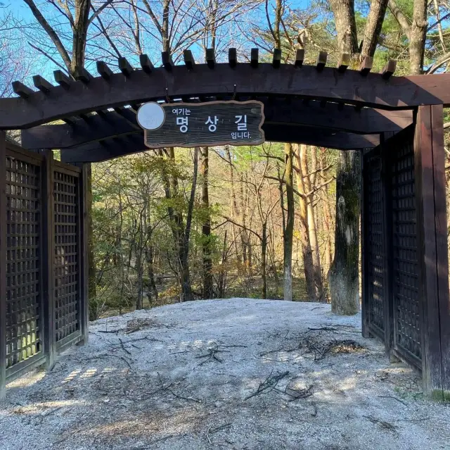 雪岳山在等你：探索韓國壯麗的山岳天堂！