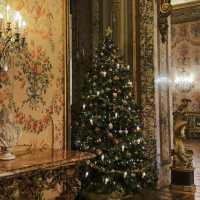 【イタリア】ここさえ行けば大丈夫！ローマの美術館