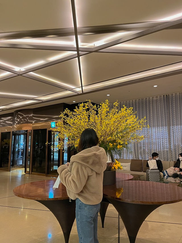 로맨틱 호캉스를 위한 서울 중심 더 플라자 호텔💕
