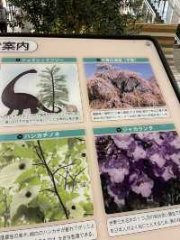 【越谷市🇯🇵】とにかく広すぎる複合施設越谷レイクタウン🛍