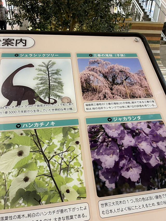【越谷市🇯🇵】とにかく広すぎる複合施設越谷レイクタウン🛍