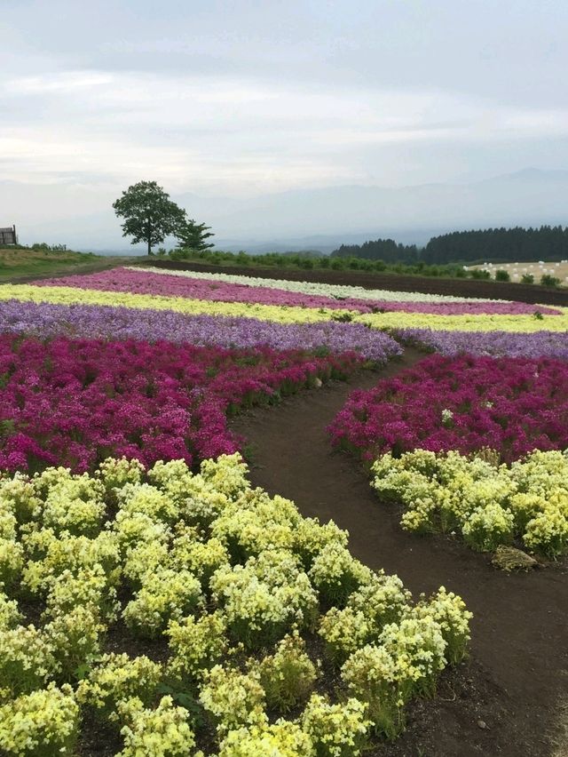【天国は大分にあった！】