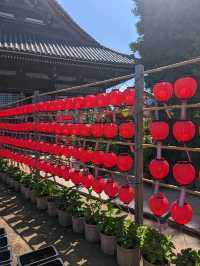 奈良🦌橿原　おふさ観音　提灯まつり🏮