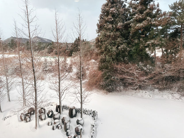 ❄️☃️🧤 제주 겨울의 기억 속 한 장면