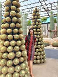 สวนนงนุช พัทยา 