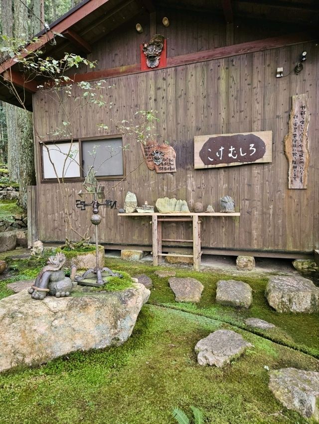 【入口を入れば、一面が苔でおおわれた癒しの世界が広がる】