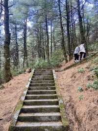 🏔️🥰大理蒼山 | 雲南的自然美景與徒步天堂👼🏻🚶🏼