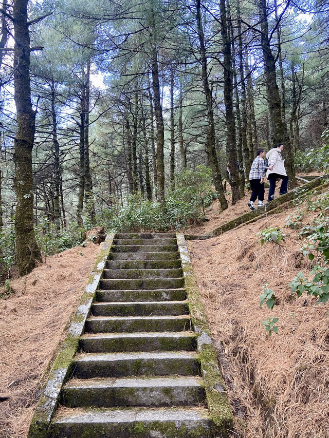 🏔️🥰大理蒼山 | 雲南的自然美景與徒步天堂👼🏻🚶🏼