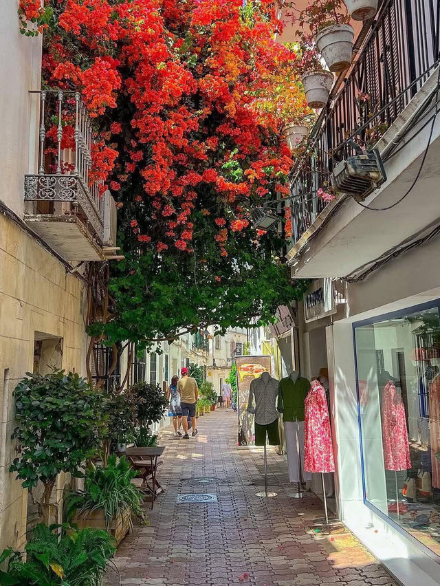 Beautiful Streets in Marbella, Spain 🇪🇸🌺 