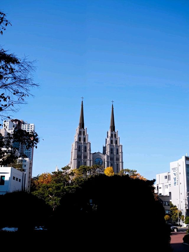韓國大邱_必訪 極美哥德式聖堂 대구 계산동성당