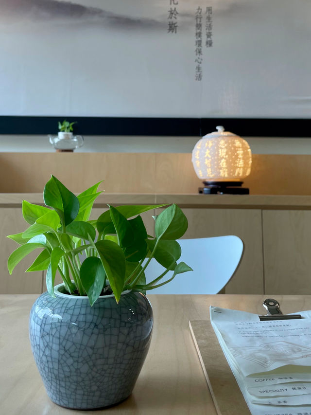A Mindful Escape in Yishun: Tea, Nature, and a Moment of Stillness