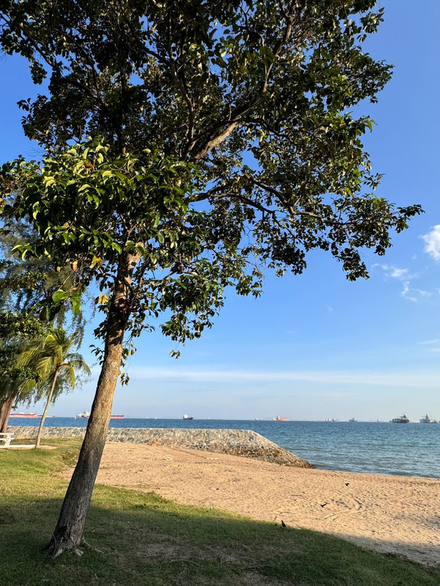 Savoring Katong: A Weekend of Delicious Eats and Scenic Strolls