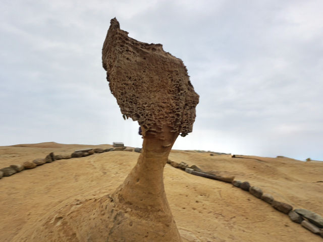 Unveiling Yehliu Geopark: A Serene Escape into Taiwan's Geological Masterpieces