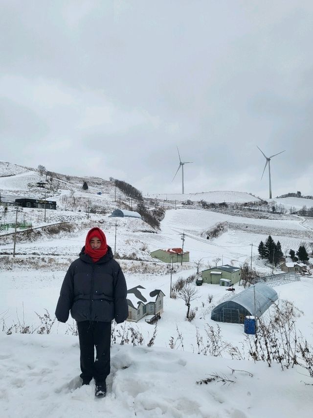 한폭의 그림같았던 설경이 멋진 안반데기