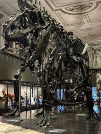 Step Back in Time: Explore the Dinosaurs of Vienna’s Natural History Museum